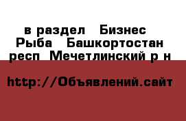  в раздел : Бизнес » Рыба . Башкортостан респ.,Мечетлинский р-н